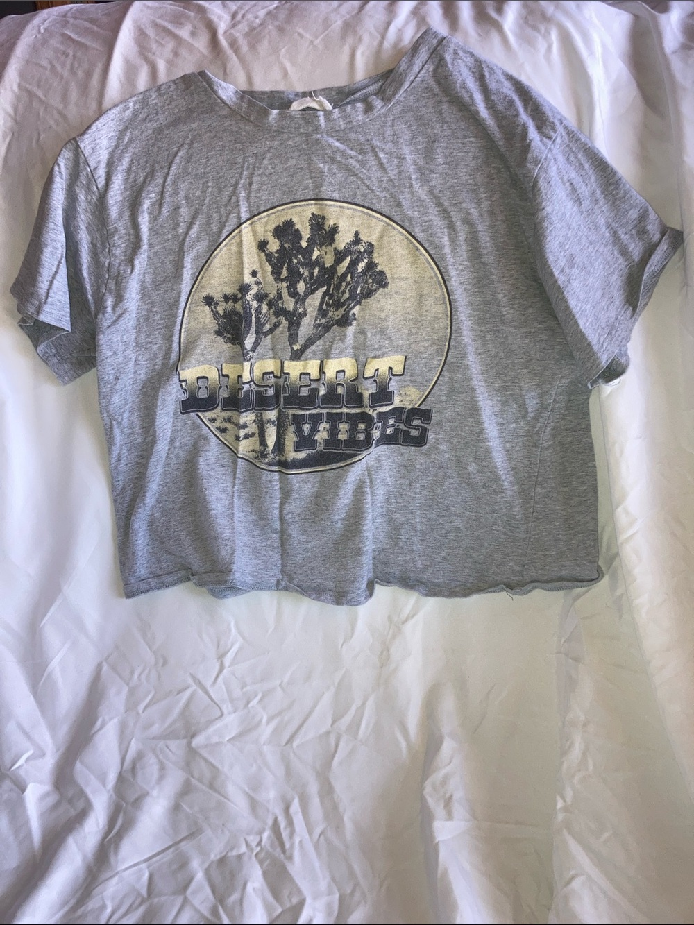 Desert Vibes Graphic Cropped Tee